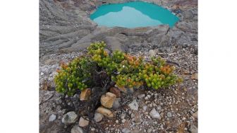 Fenomena Langka! Danau Kawah Gunung Dempo Berubah Warna Jadi Abu-abu