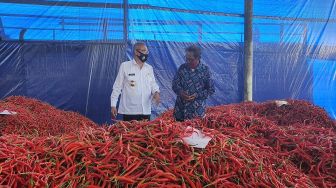 Dongkrak Harga Cabai Merah, Petani Lahan Pasir Pesisir Bantul Gelar Lelang