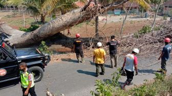 Pohon Berdiameter 225 Cm Tumbang, Gedung PAUD di Gunungkidul Tertimpa Dahan
