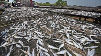 Dampak PSBB, Penjualan Ikan Asin menurun