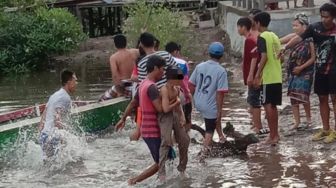 Pantang Mundur! Bocah 14 Tahun Berantem Lawan Buaya Muara di dalam Sungai