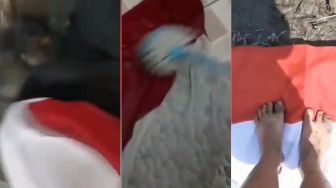 Viral Video Wanita Injak Bendera Merah Putih dan Digosok Pakai Sikat WC