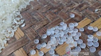 Duh, Warga Cianjur Kembali Temukan Biji Plastik dalam Beras Bansos