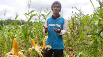 Hamzah, Petani Milenial dari Muara Jawa Kutai kartanegara