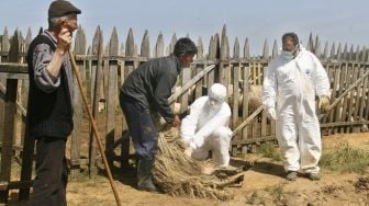 Lebih dari Enam Ribu Orang di China Masih Menderita Brucellosis