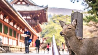 Bagaikan Lukisan, Ini 10 Kota Paling Indah di Jepang