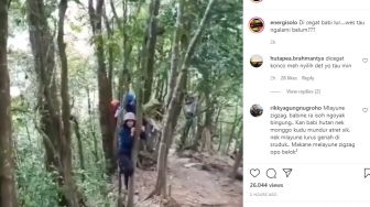 Viral Sekelompok Pendaki Dicegat Babi Liar di Hutan, Langsung Panjat Pohon