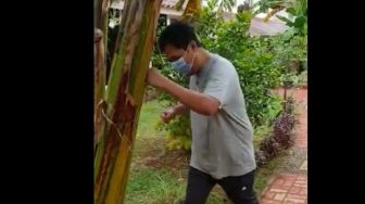 Anak Buah Prabowo Pukuli Pohon Pisang: Pagi-pagi Om Dewan Ngegym Dulu Guys