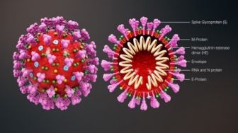 Positivity Rate Covid-19 Per Hari di Riau di Atas Standar WHO