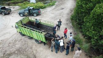 Tertangkap Tangan, Tersangka Pembabat Hutan Bakau Mendekam Dipenjara