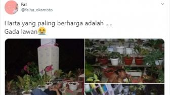 Demi Jaga Tanaman Hias, Pria Ini Rela Tidur di teras Sambil Pegang Golok