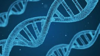 Penelitian Ungkap Gen Manusia Purba Ini Lebih Beresiko Tertular Covid-19