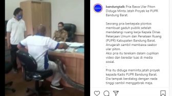 Bawa Ular ke Kantor PU, Bukan Dapat Proyek Malah Jadi Tersangka