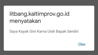 Tolak UU Cipta Kerja, Hacker Kelelawar Retas Website Litbang Pemprov Kaltim