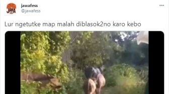 Ikuti Arahan Google Maps, Pria Ini Malah Kesasar Mengikuti Rombongan Kerbau