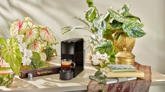 Cicipi Beragam Rasa Kopi Legendaris Dunia, Salah Satunya Kopi Sumatera