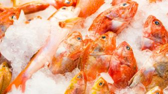 Bikin Ngilu! Warganet Ini Santap Ikan Berkuah, Nyaris Makan Benda Asing Berbahaya