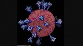 Beda dari Inggris, Jepang Deteksi Varian baru Virus Corona