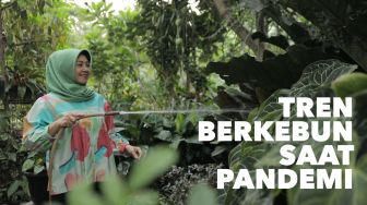 Berkebun di Tengah Pandemi: Hobi yang Bikin Hati Senang