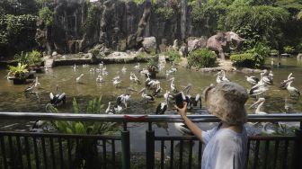 Liburan di Akhir Pekan, Ragunan Sediakan Layanan Wisata Virtual