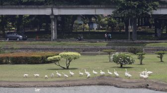 Pengunjung berfoto di kawasan anjungan Dunia Air Tawar di Taman Mini Indonesia Indah (TMII), Jakarta, Rabu (14/10/2020). [Suara.com/Angga Budhiyanto]