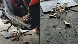 Jeroan Motor Ini Bikin Nggak Doyan Makan, Kometar Warganet Bikin Salfok