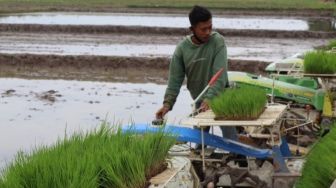 Petani Dukung Kebijakan Penyesuaian HET Pupuk Subsidi