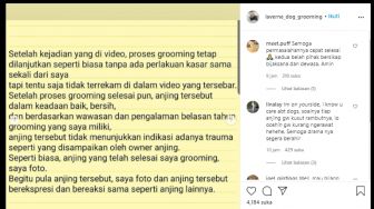 Viral Video Perlakuan Kasar Groomer ke Anjing Pelanggan, Ini Klarifikasinya