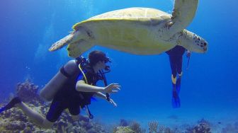 Nikmati Keindahan Bawah Laut, Rekomendasi Spot Snorkeling di Jogja