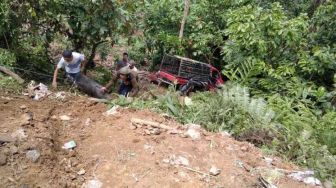 Hilang Kendali, Pick Up Bermuatan Puluhan Ekor Babi, Terjun ke Jurang