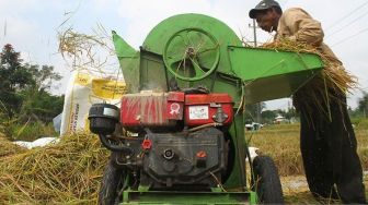 Pupuk Bersubsidi Langka, Petani Harus Pesan dan Menunggu 10 Hari