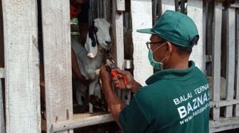 Kementan Apresiasi Dukungan Baznas Tingkatkan Kesejahteraan Peternak