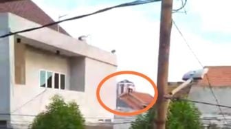 Viral Pria Misterius Menghilang di Atap Rumah, Warga: Udah Kaya Naruto