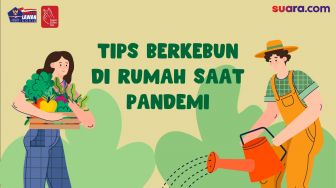 Videografis: Tips Berkebun di Rumah saat  Pandemi