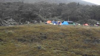 Legenda Pecahan 'Surga' Surya Kencana Gunung Gede, Tempat Bugil 2 Pendaki