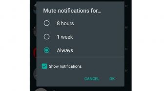 Cara Mute Chat WhatsApp Selamanya