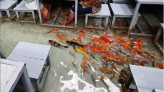 Makan Seru bersama Ikan Koi, Uniknya Rumah Makan di Pekanbaru Ini