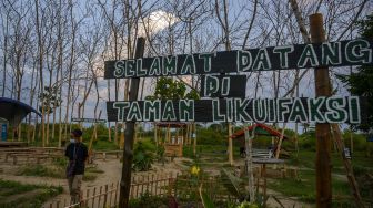 Seorang pengunjung menikmati suasana di antara pohon jati yang mengering di kawasan geo wisata Taman Likuefaksi, Desa Lolu, Kabupaten Sigi, Sulawesi Tengah, Jumat (23/10/2020). [ANTARA FOTO/Basri Marzuki]