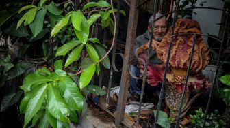 Pemilik rumah, Iswara (82) menunjukan sebuah bunga bangkai raksasa jenis Amorphophallus paeoniifolius yang mekar di pekarangan rumahnya di Arcamanik, Bandung, Jawa Barat, Senin (26/10/2020). [ANTARA FOTO/Raisan Al Farisi]