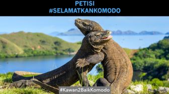 Viral Komodo Hadang Truk Proyek, Ini Petisi Selamatkan Pulau Komodo