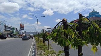 Warga Potong Pohon Gegara Tutupi Reklame, Pemkot Pekanbaru Merugi 113 Juta