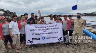 Nelayan Tebar Indukan Lobster di Perairan Cisolok Sukabumi