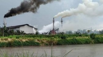 Bocor, Limbah PKS PT ASMJ di Kuansing Diduga Bikin Ikan Mati di Sungai Jake