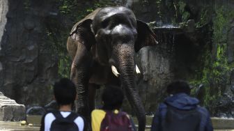 Mengisi Waktu Libur Panjang di Taman Margasatwa Ragunan