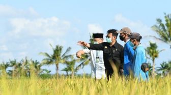 Kekeringan Mengancam, Mentan Ingatkan Petani Asuransikan Lahannya lewat AUTP