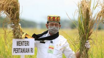 Pengamat Pangan : Kementan Berhasil Jaga Ketersediaan 11 Bahan Pokok