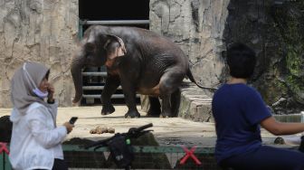 Catat, Taman Margasatwa Ragunan Tutup Tiga Hari Saat Natal dan Tahun Baru