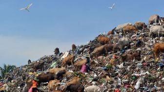 Retribusi Sampah Kota Makassar Disebut Ladang Korupsi Oknum Camat dan Lurah