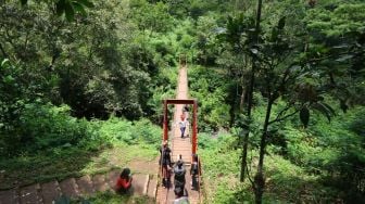 Jalur ke Lembang Macet? Coba Putar Setir ke Tahura Djuanda