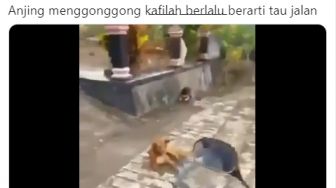 2 Pemuda Direspons Anjing Saat Tanya Arah Jalan, Warganet: Sobat Sendiri